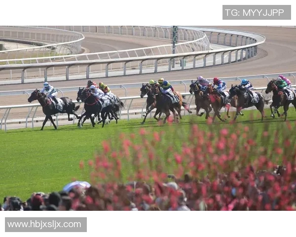 香港赛马会的垄断经营模式及其对社会发展的积极影响分析