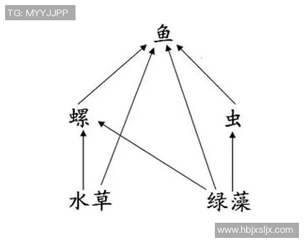 世界杯球队生态系统解析顶级掠食者与食物链的关系与影响 世界杯球队生态系统解析顶级掠食者与食物链的关系与影响
